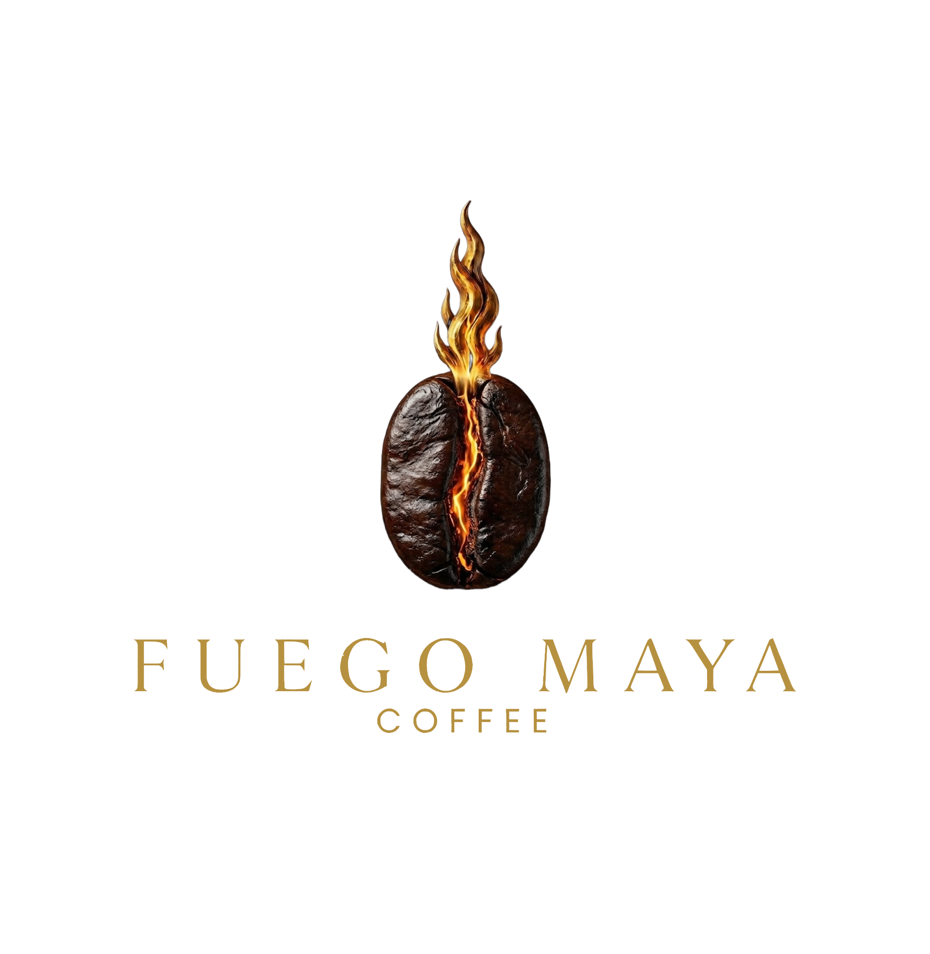 Fuego Maya emblem obsidian coffee bean with a molten lava fissure and Mayan glyphs